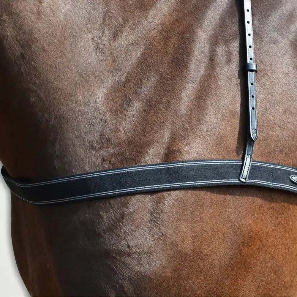 Hy Equestrian Elastic Breastgirth - Black image