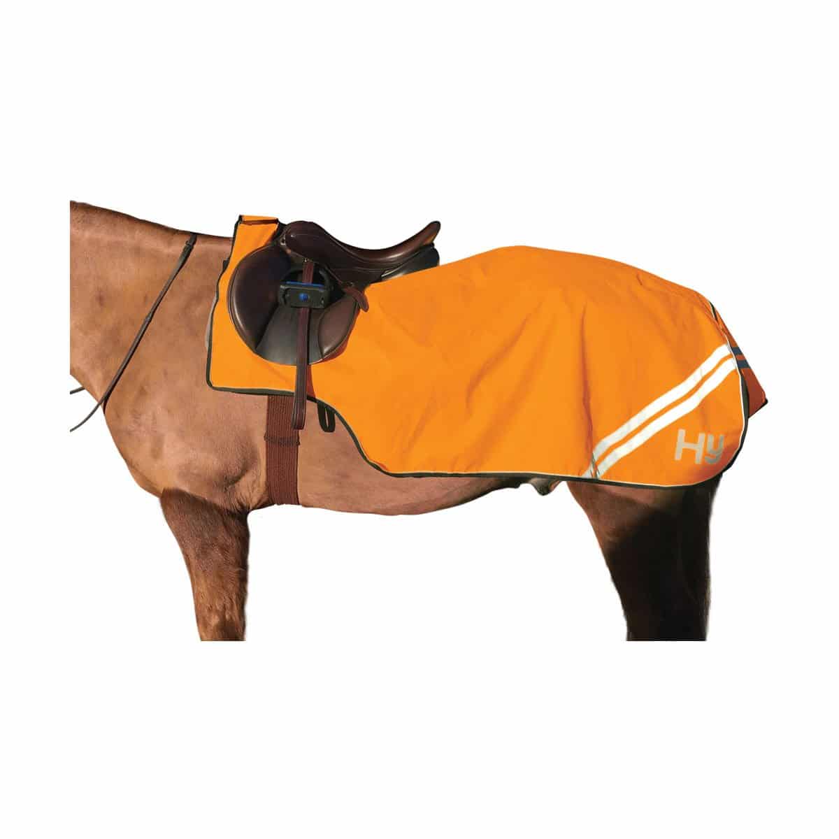 Hy Equestrian Reflector Exercise Sheet image 3