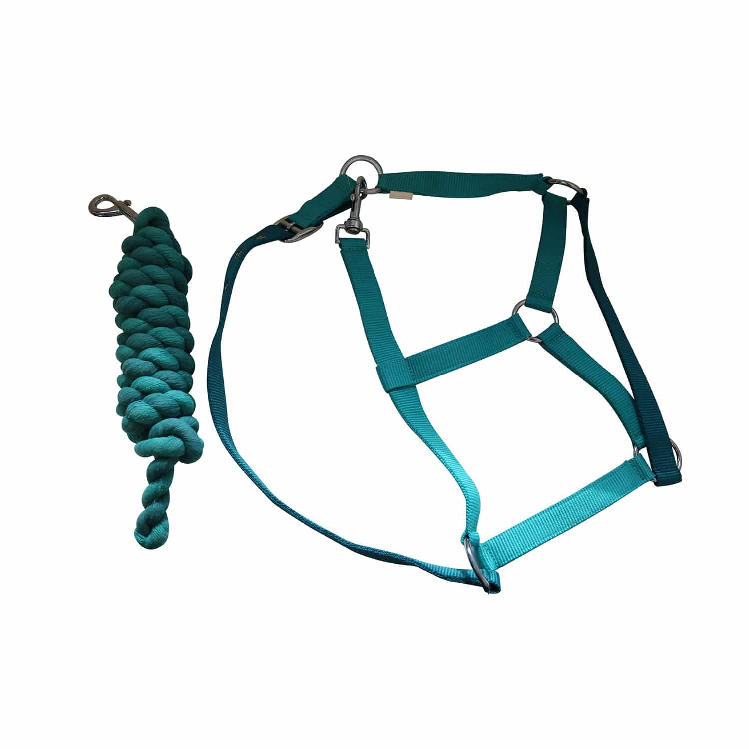 JHL Headcollar & Lead Rope Essential - Turquoise image 0