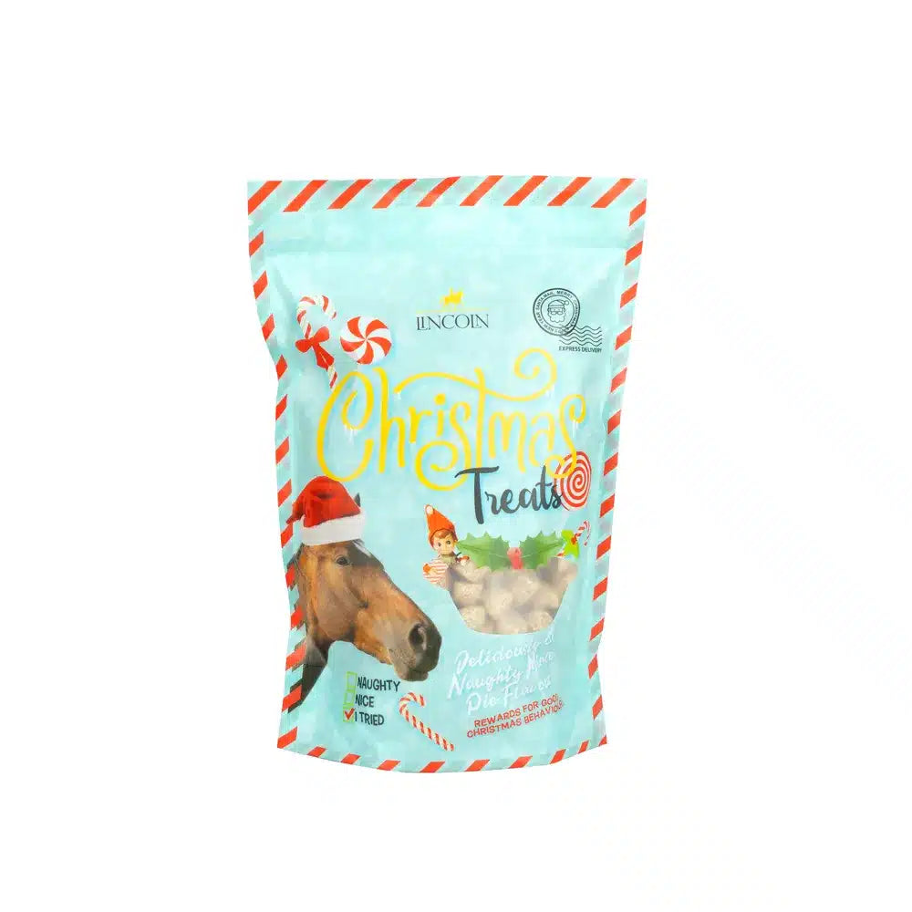 Lincoln Christmas Treats - Mince Pie Flavour image 0