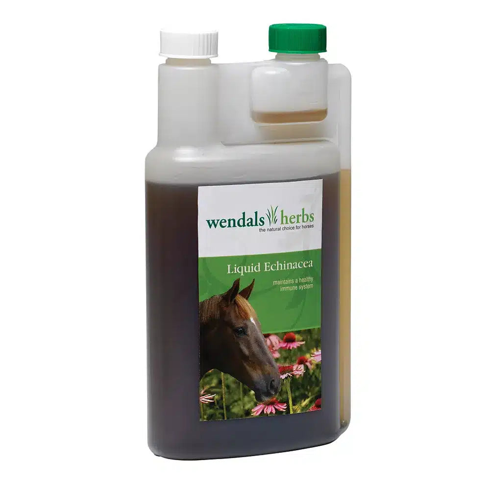 Wendals Liquid Echinacea image 0