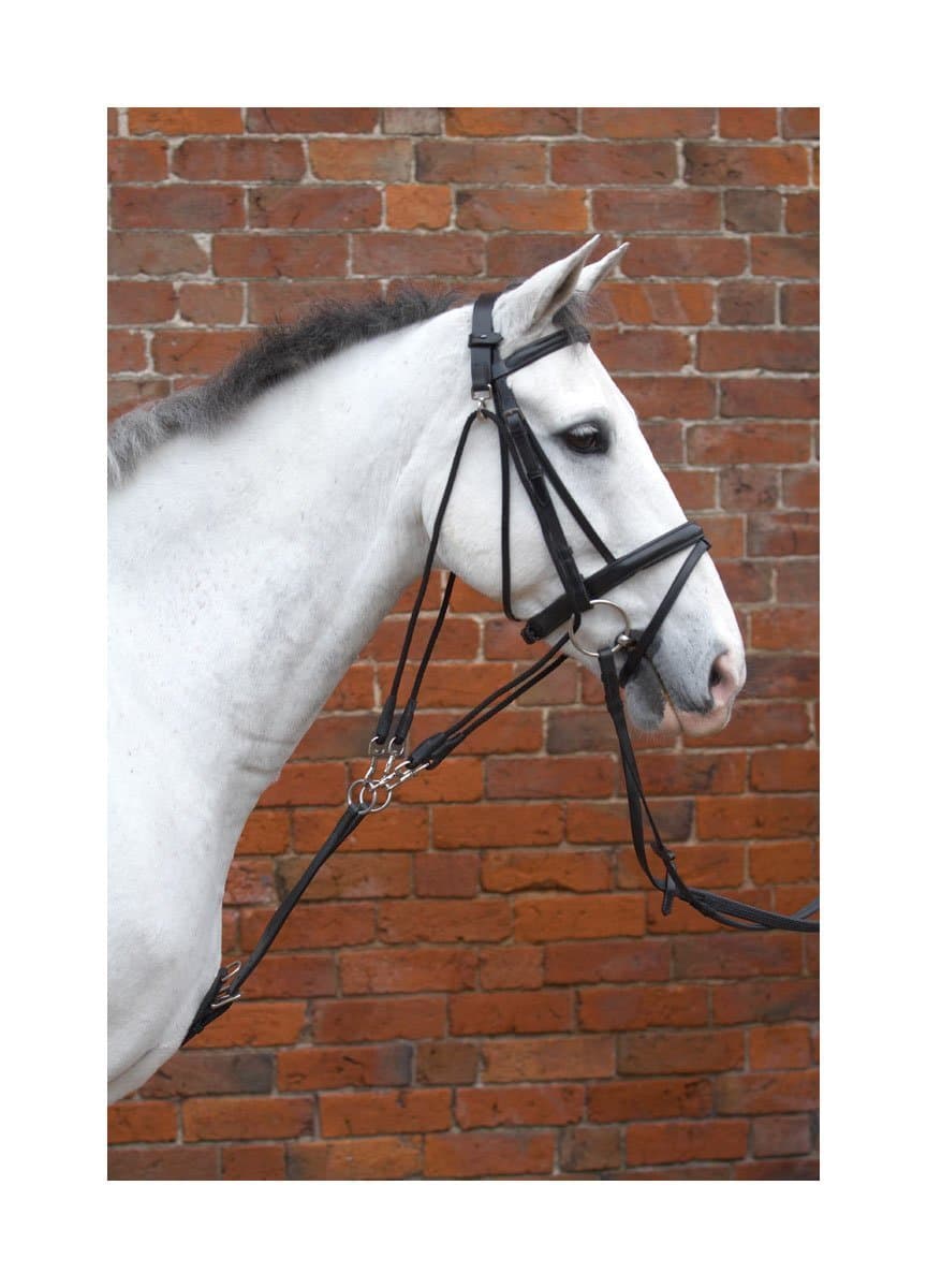 Hy Equestrian De Gouge image 0