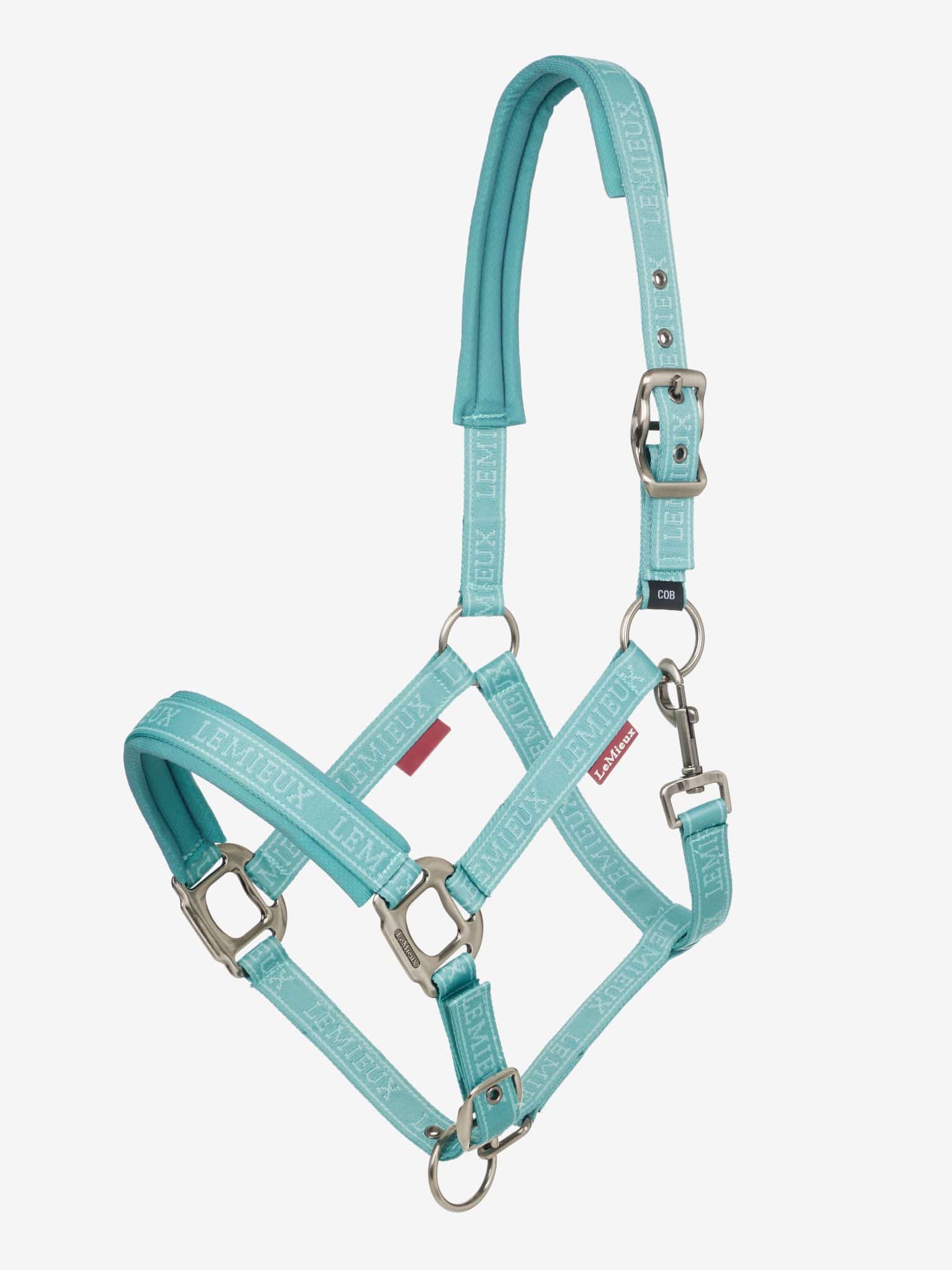 LeMieux Logo Headcollar - Lagoon image 0