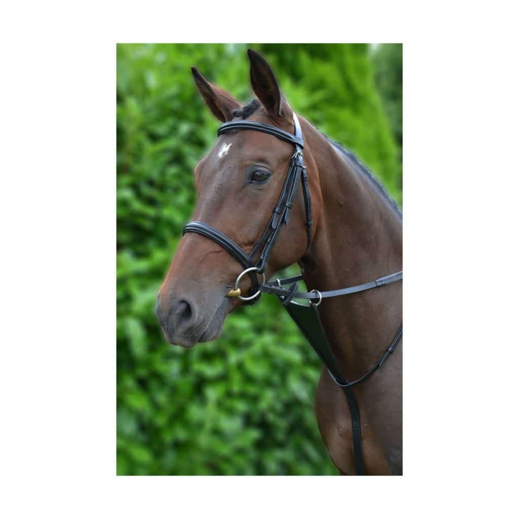 Hy Equestrian Bib Martingale image 0
