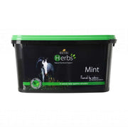 Lincoln Herbs Mint image 0