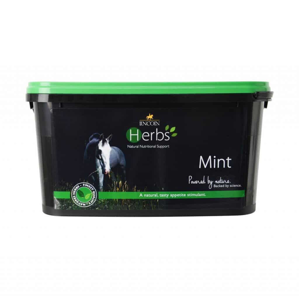 Lincoln Herbs Mint image 0