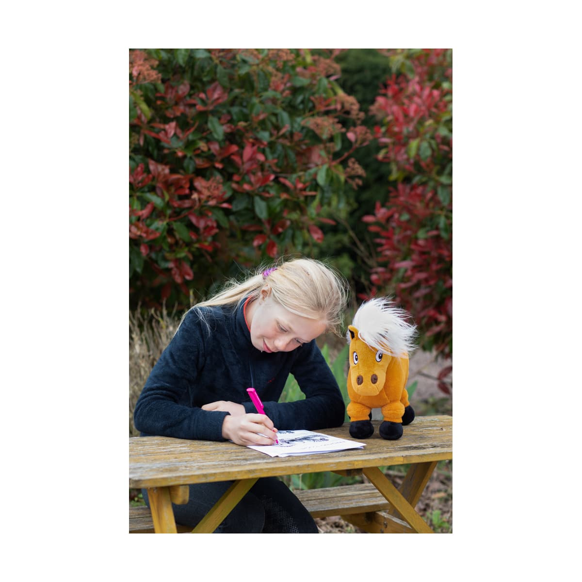 Hy Equestrian Thelwell Collection Activity Book - A4 image 4