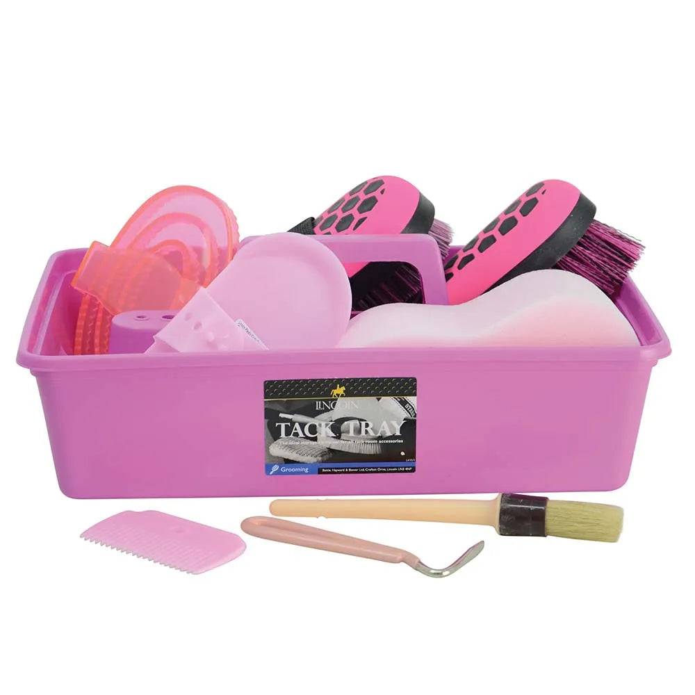 Lincoln Complete Grooming Kit - One Size / Pink