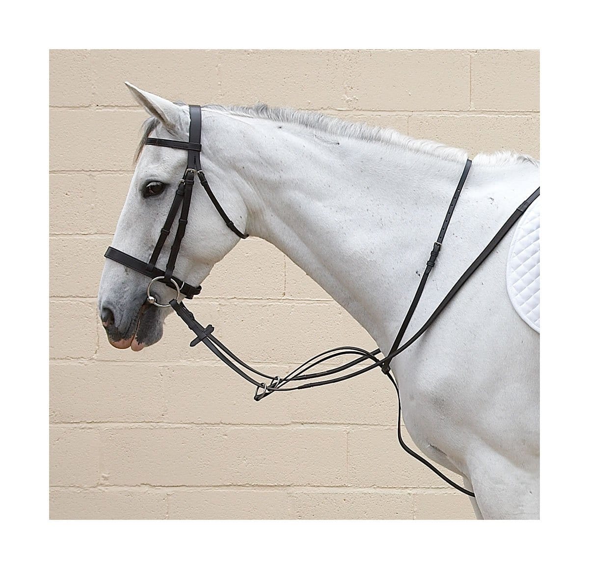 Hy Equestrian Running Martingale image 0