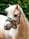 LeMieux Mini Vogue Headcollar & Leadrope - Hunter Green image 1