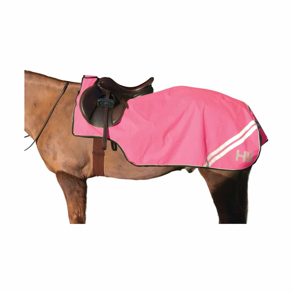 Hy Equestrian Reflector Exercise Sheet image 2