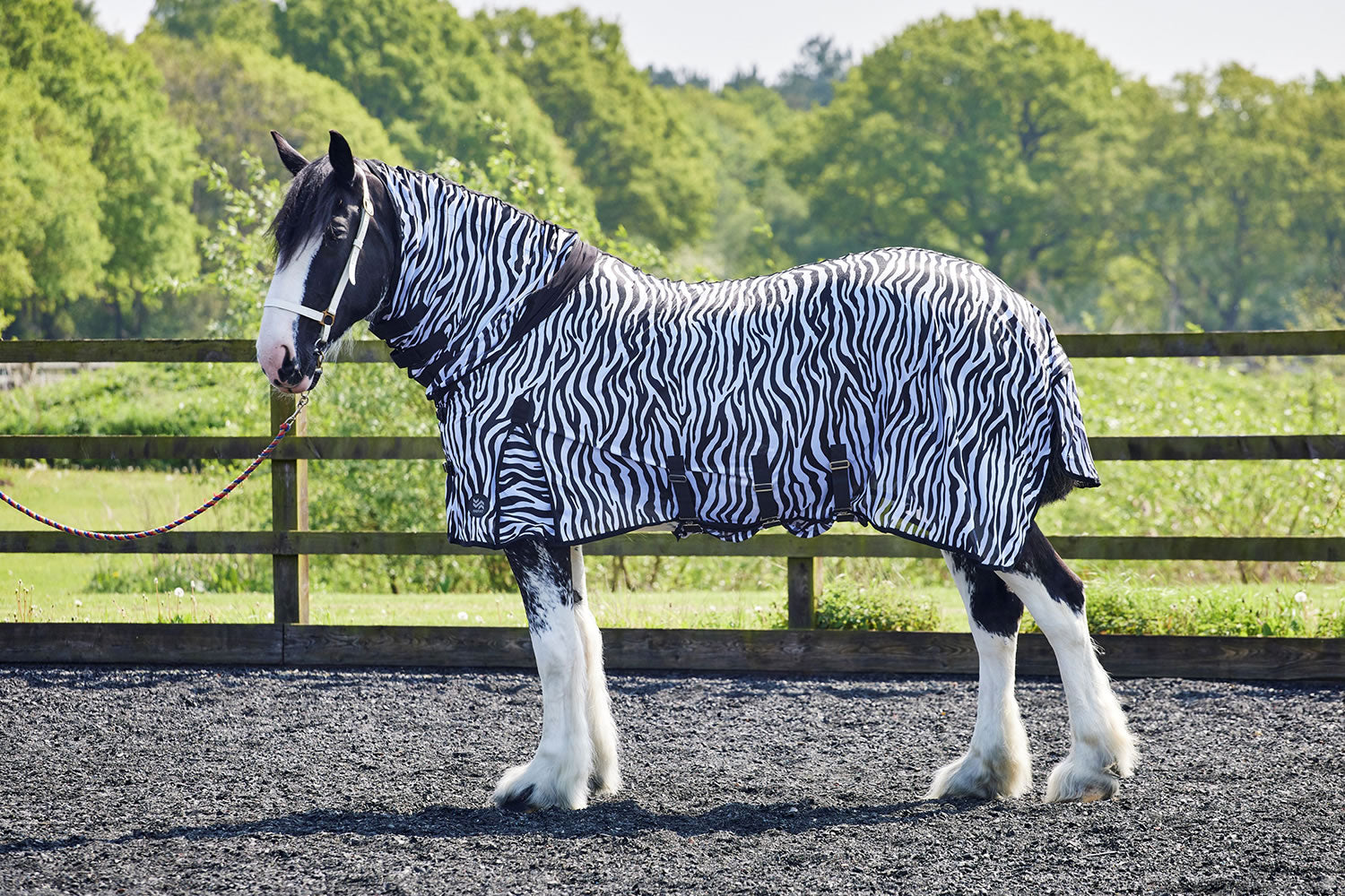 Firefoot Fly Rug Fixed Neck image 1