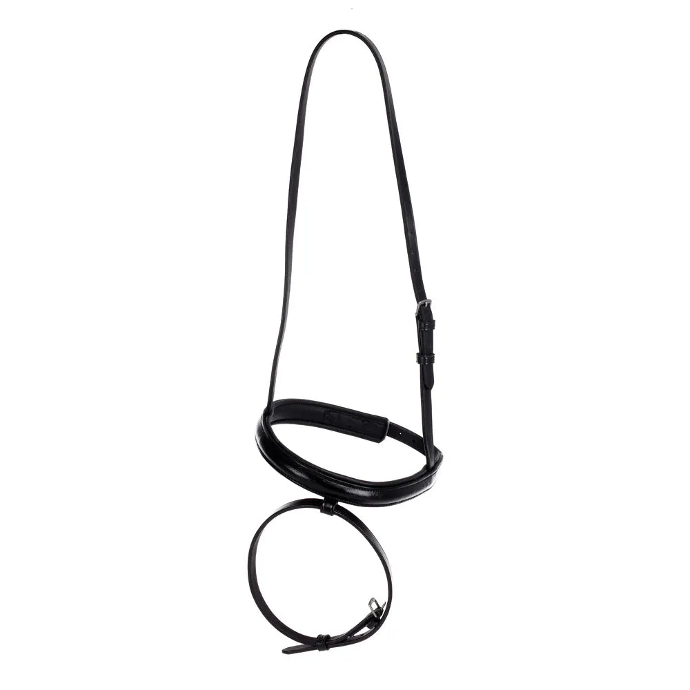 Hy Equestrian Leather Flash Nose Band - Black, Pony image