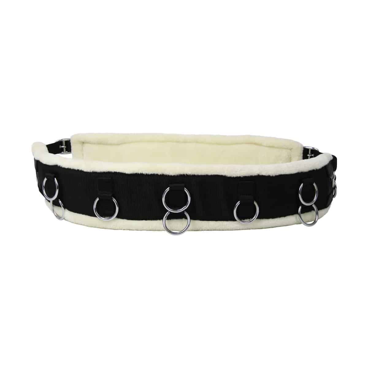 Hy Equestrian Lunge Roller image 0