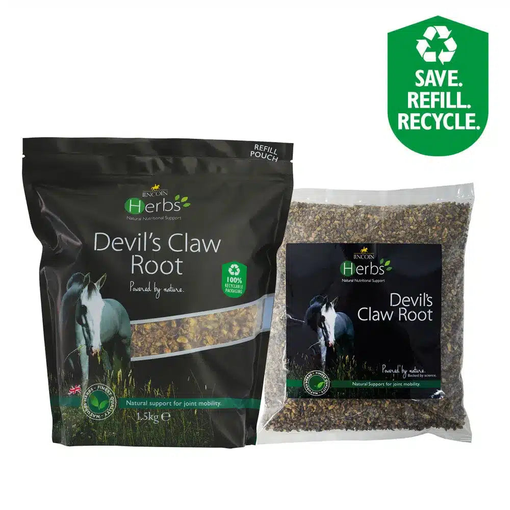 Lincoln Herbs Devil's Claw Root image 0