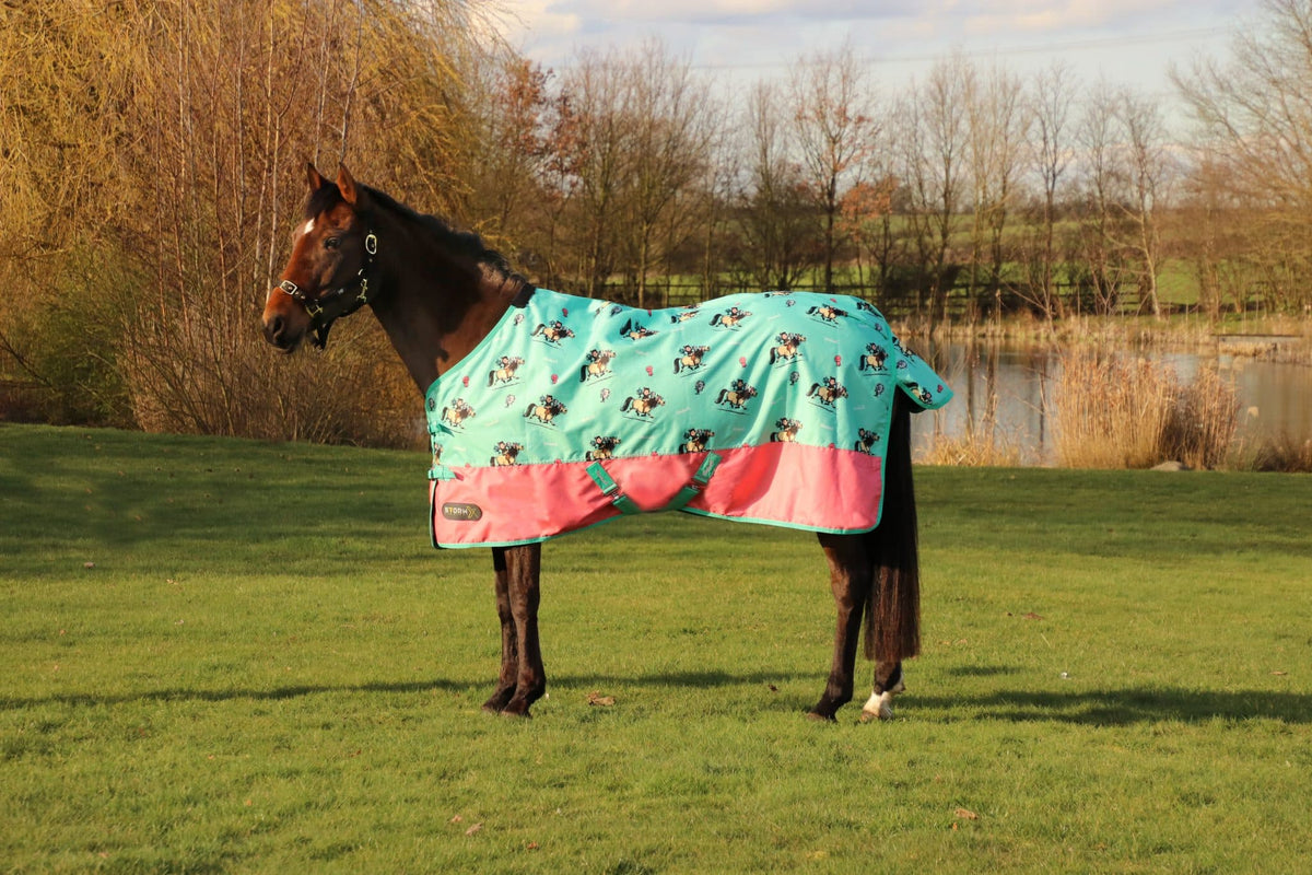 StormX Original 0g Turnout Rug - Thelwell Collection Trophy image 0