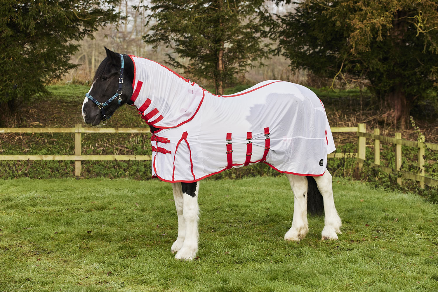 Firefoot Fly Rug Detachable Neck - white-red, 5' 0'' image