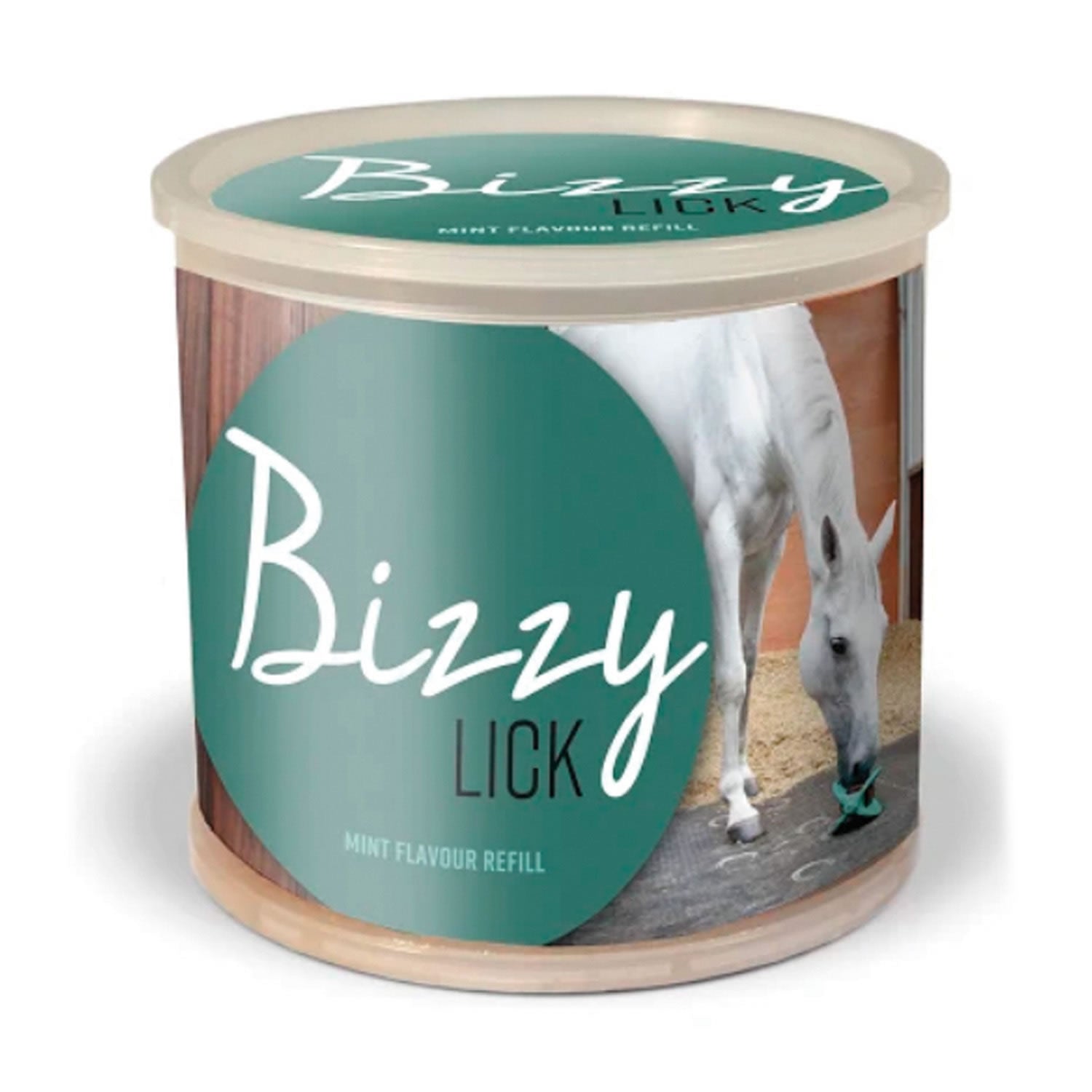 Bizzy Horse Bizzy Lick Refill - 1 Kg - Mint