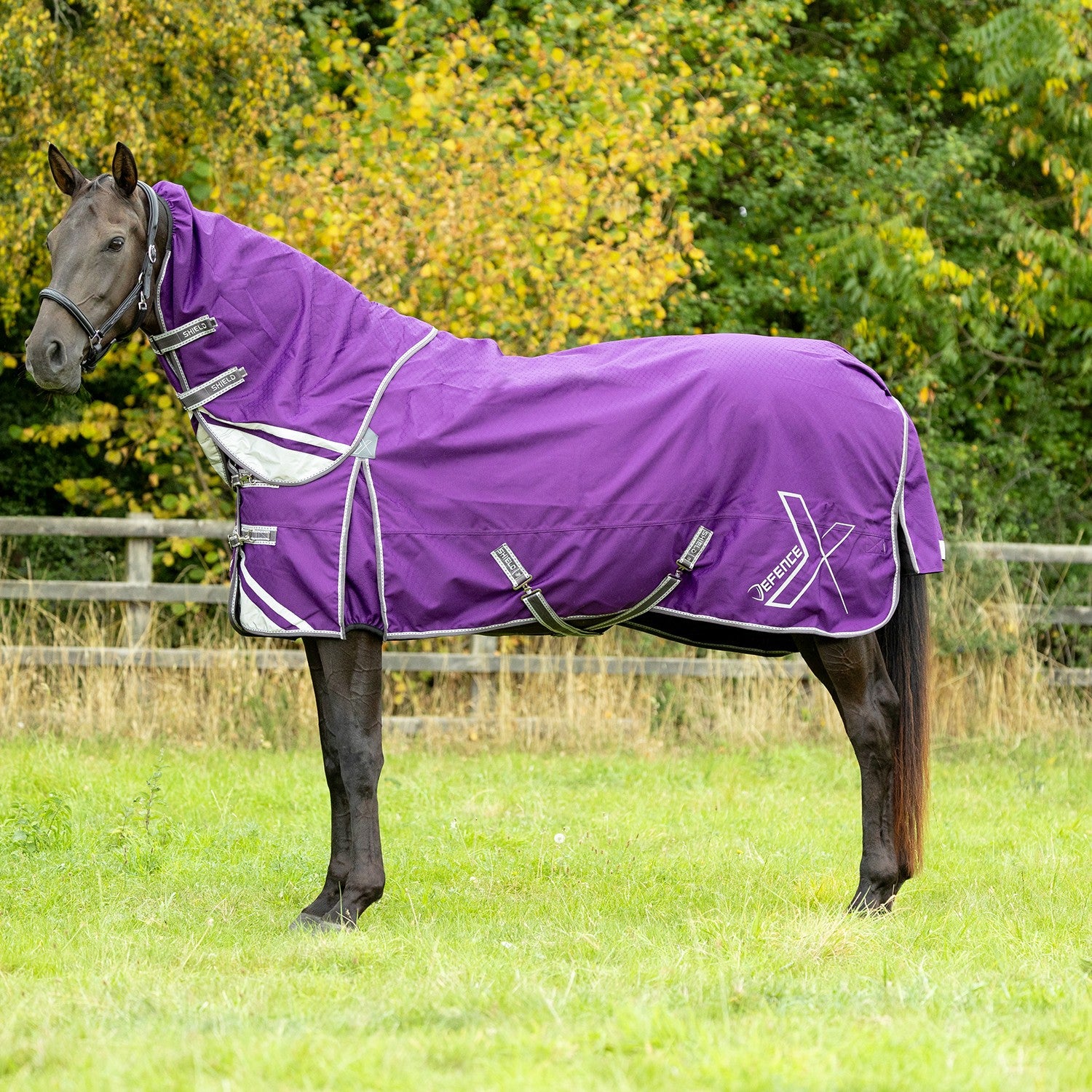 Defencex Shield 0g Turnout Rug With Detachable Neck Purple