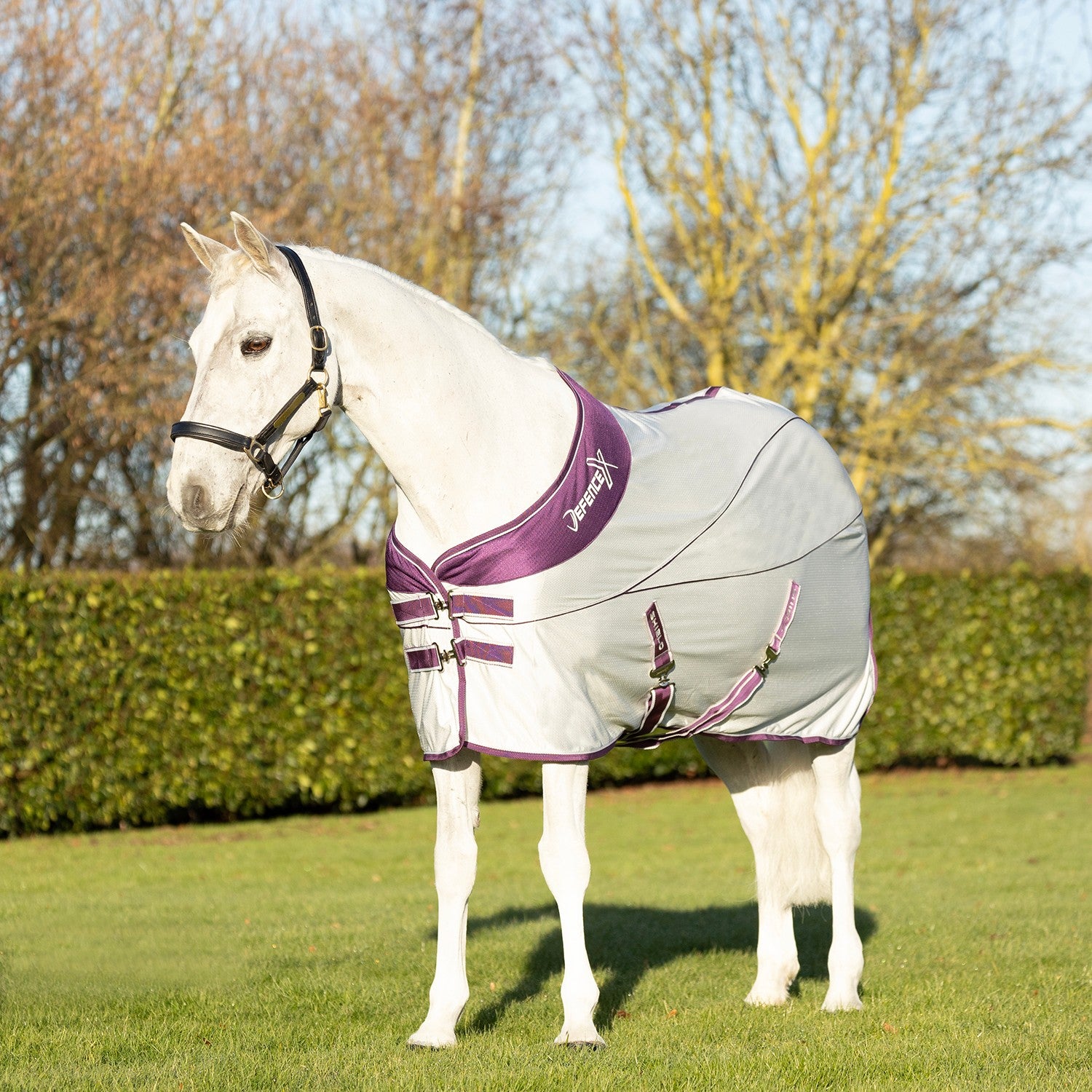 Defencex Shield Sport Air Cooler Rug Grey/Purple
