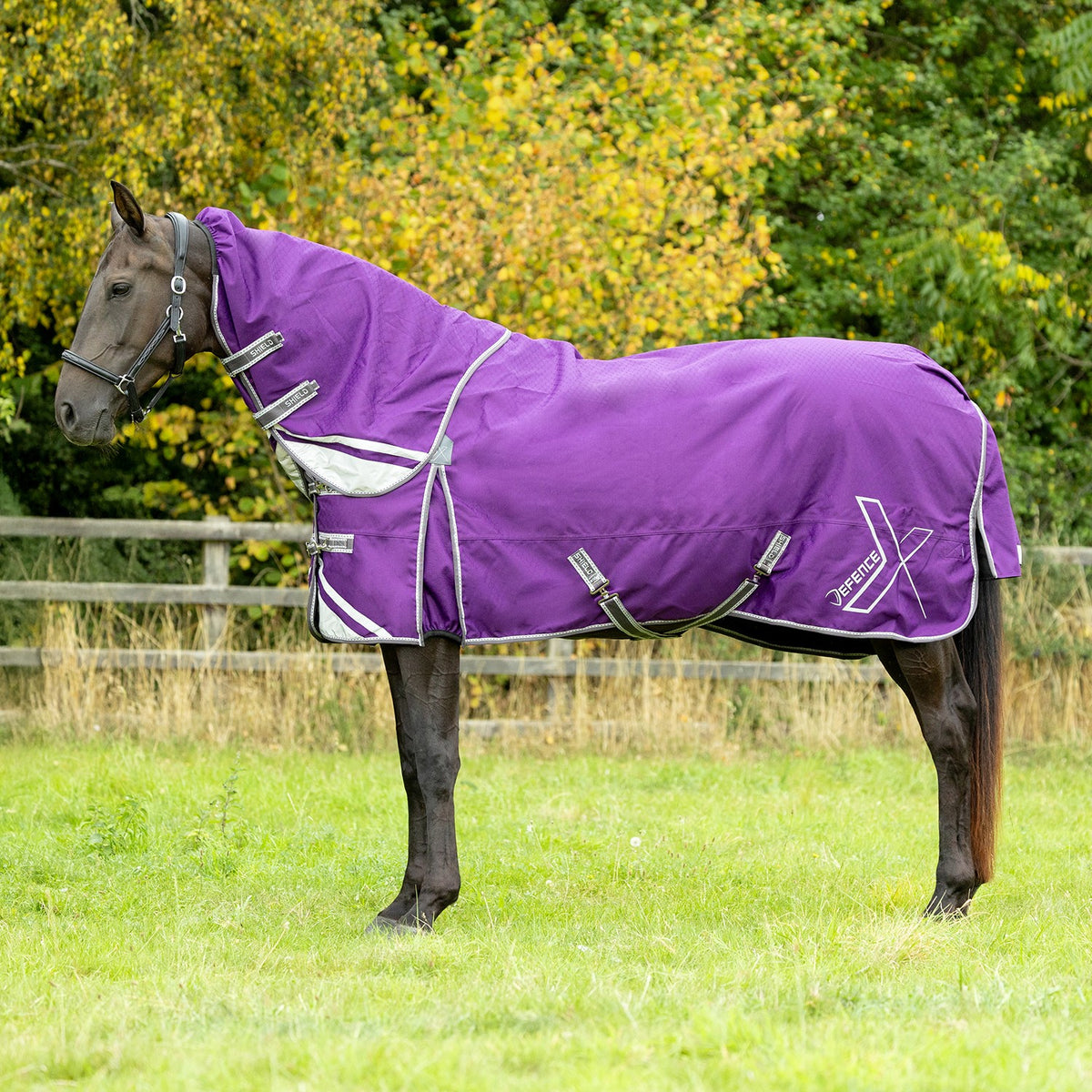 Hy Equestrian DefenceX Shield 300g Turnout Rug With Detachable Neck Purple