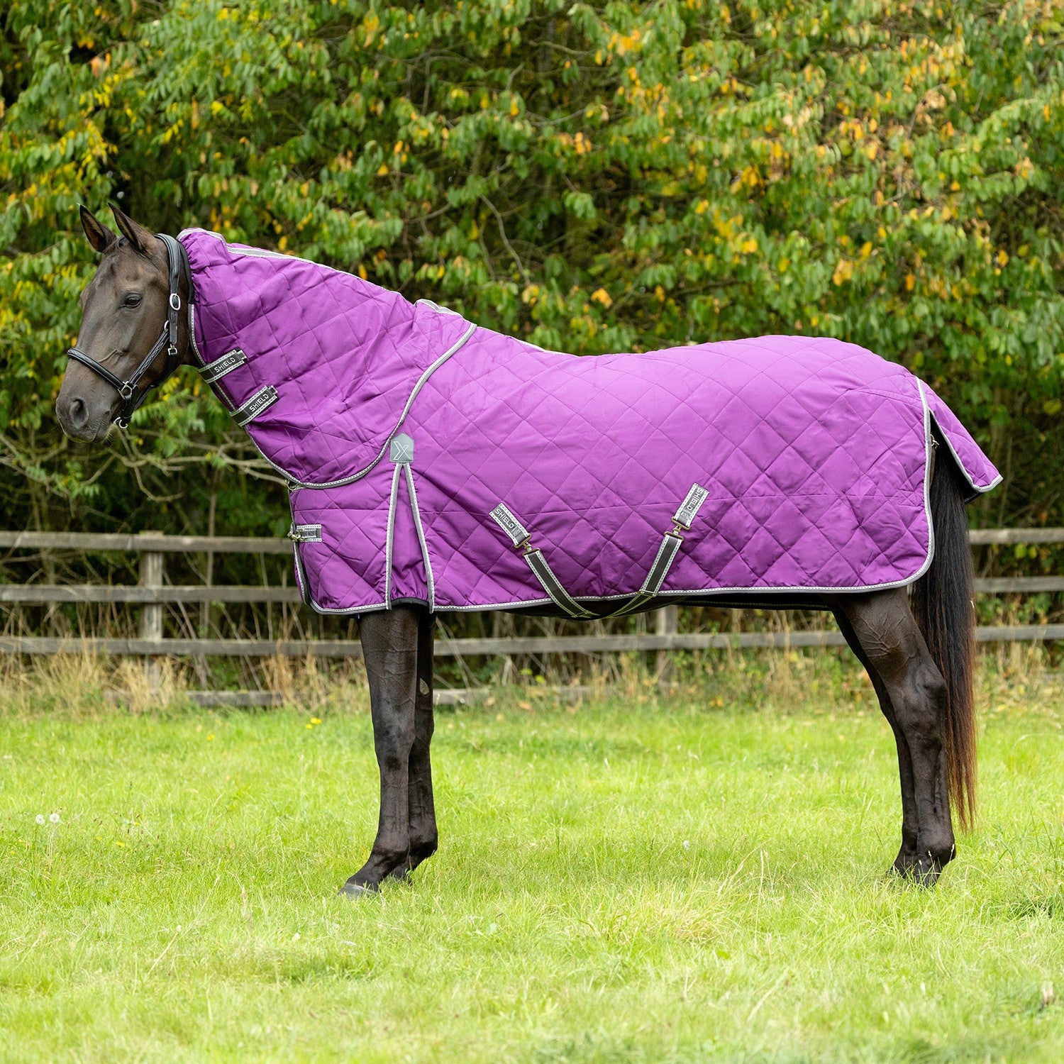 Defencex Shield 300g Stable Rug With Detachable Neck Purple