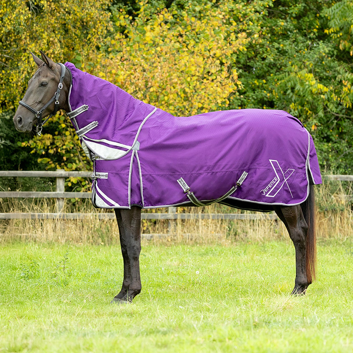 Hy Equestrian DefenceX Shield 100g Turnout Rug With Detachable Neck Purple