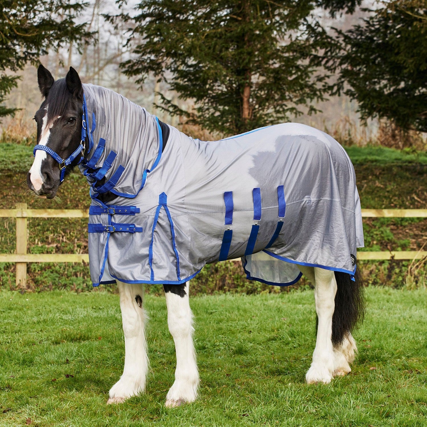 Firefoot Fixed Neck Fly Rug Grey/Blue - 4' 9" - Grey/Blue - Fly Rug