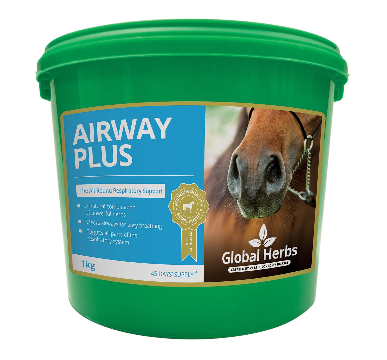 Global Herbs Airway Plus Powder - 1 Kg