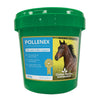 Global Herbs Pollenex - 500 Gm
