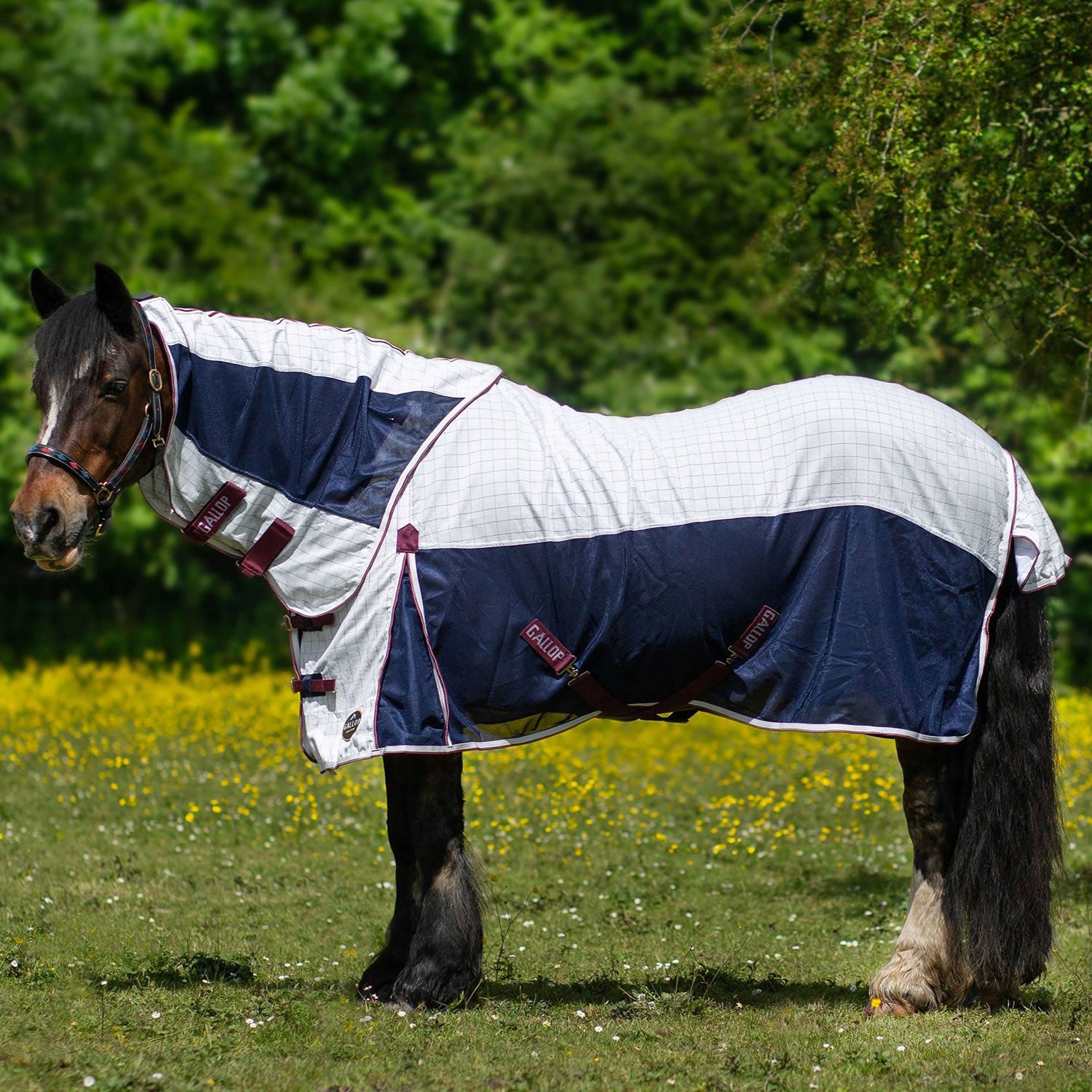 Gallop Air Mesh Detachable Cooler White - 5' 6" - White