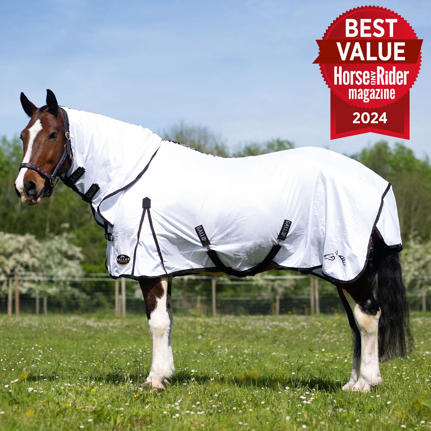 Gallop Classic Fly Rug Combo White - 5' 6" - White - Fly Rug