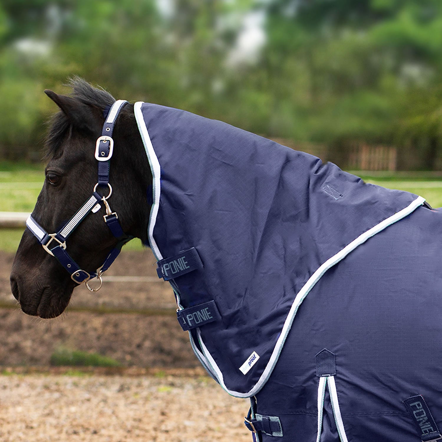Gallop Trojan Duraproof 5-Point Lightweight Neck Cover Navy - Medium - Navy