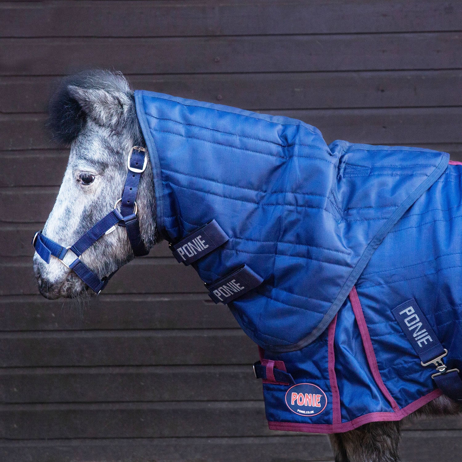 Gallop Ponie 50G Stable Neck Cover Navy - Xxsmall - Navy
