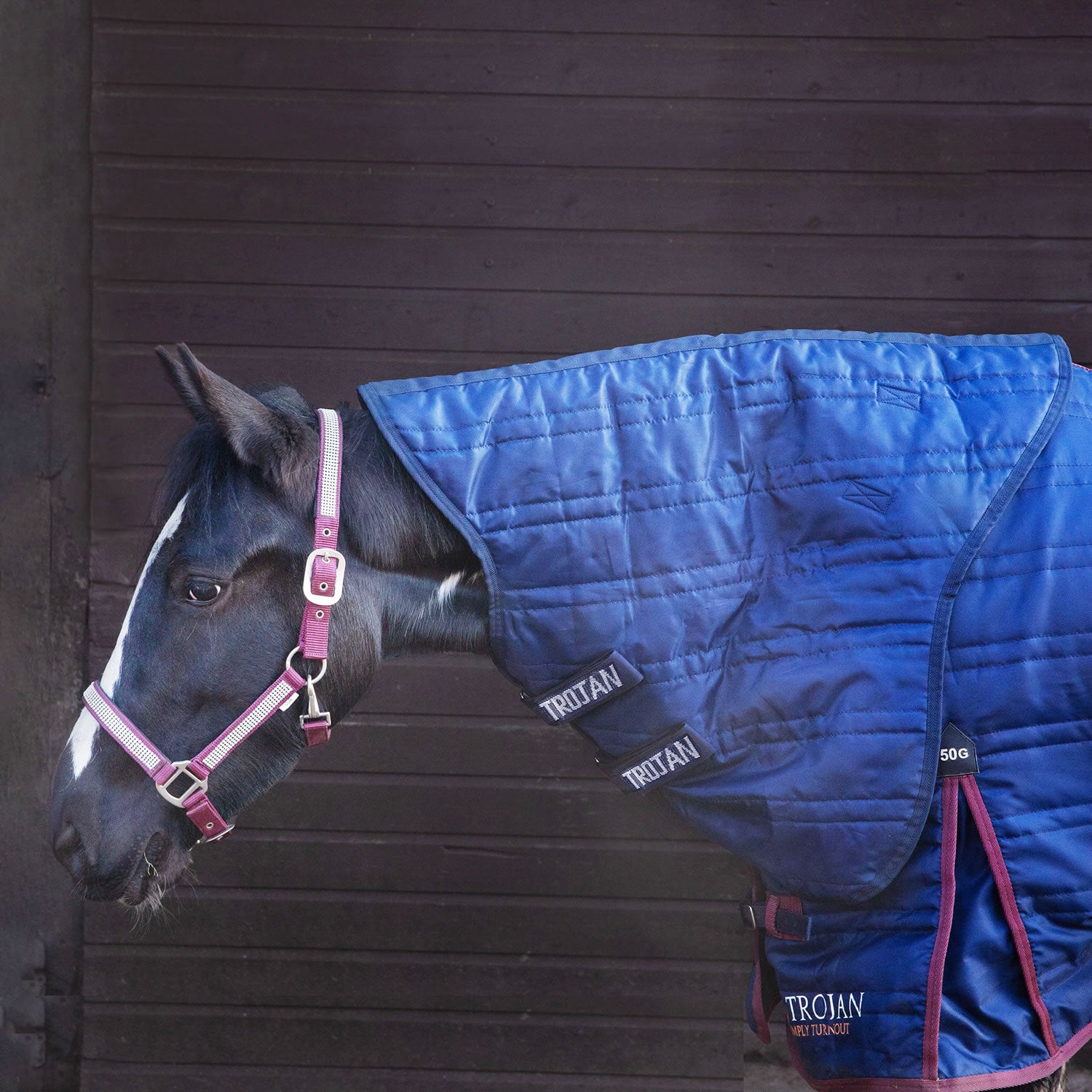 Gallop Trojan 50G Stable Neck Cover Navy - Medium - Navy