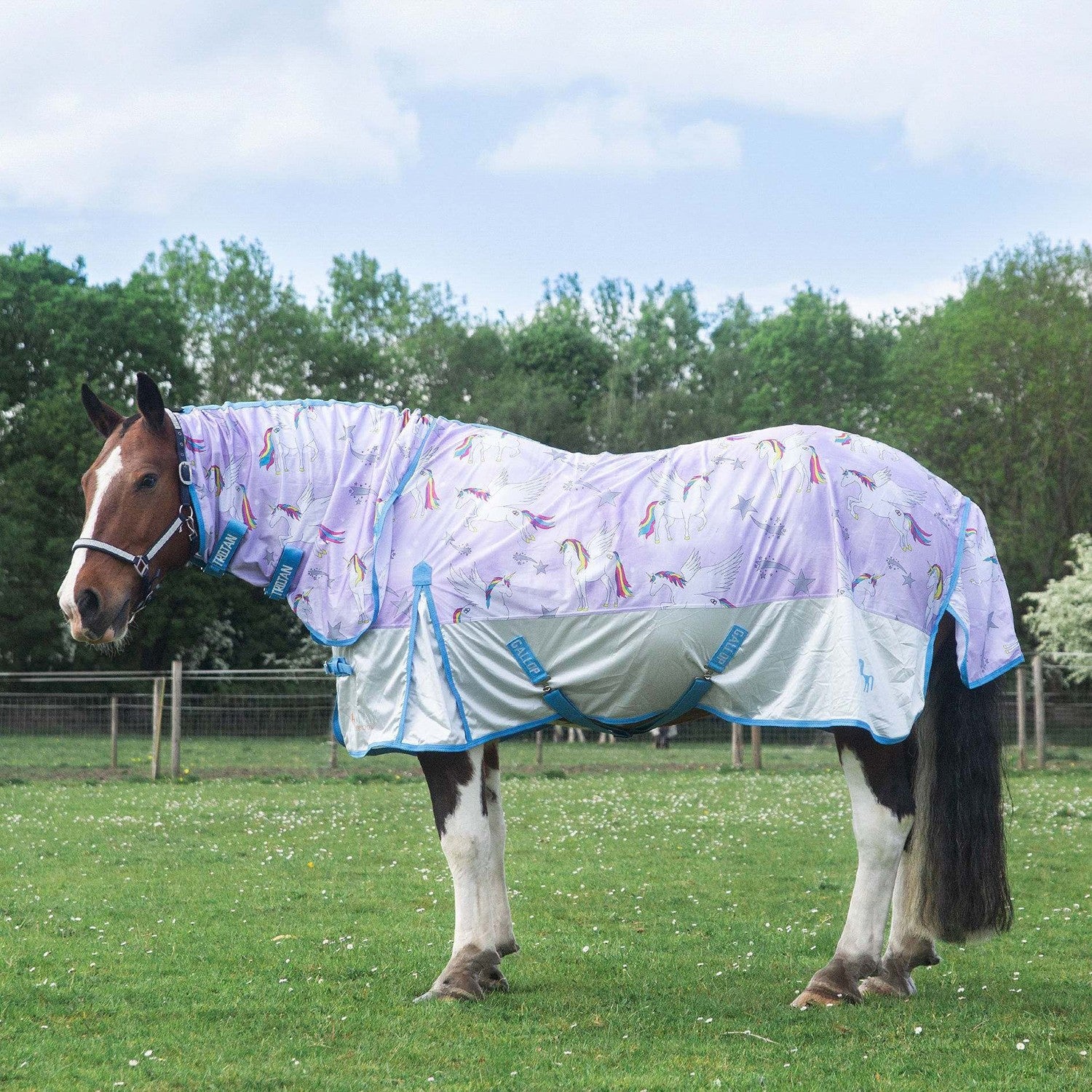 Gallop Trojan Combo Mesh Fly Rug Pegacorn - 7' 0" - Pegacorn - Fly Rug