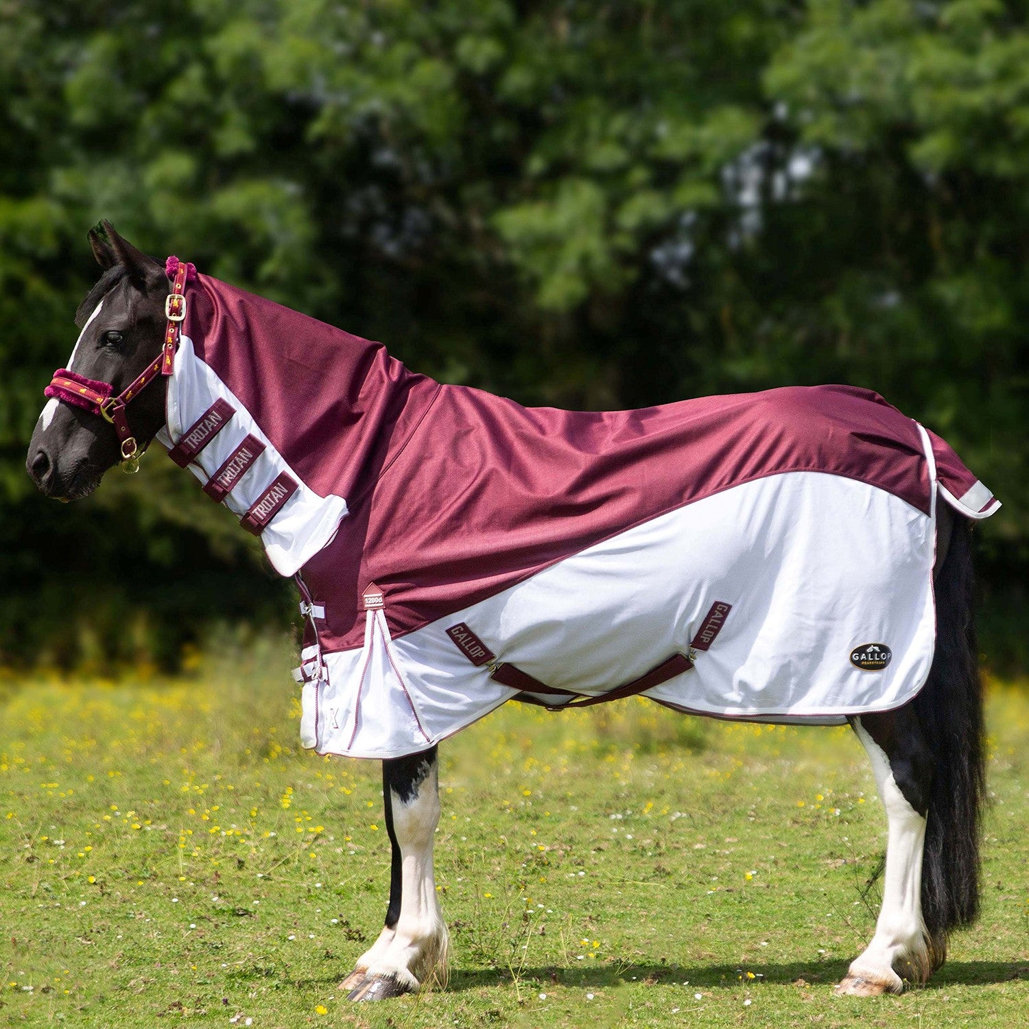 Gallop Trojan Xtra D/Proof Hybrid Combo Fly Rug Burg/White - 5' 9" - Burgundy/White - Fly Rug