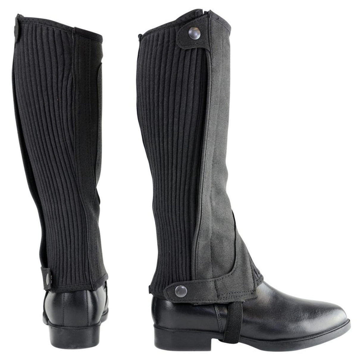 Amara Half Chaps by Hy Equestrian