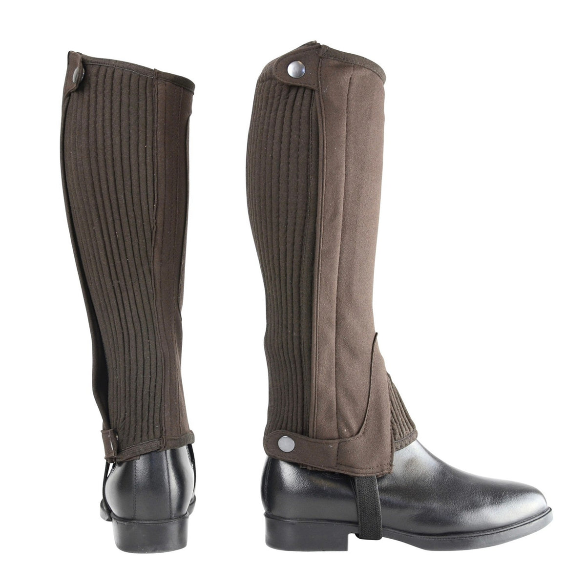 Amara Half Chaps by Hy Equestrian