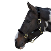 Hy Equestrian Deluxe Padded Headcollar Black