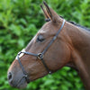 Hy Equestrian Mexican Grackle Noseband Black