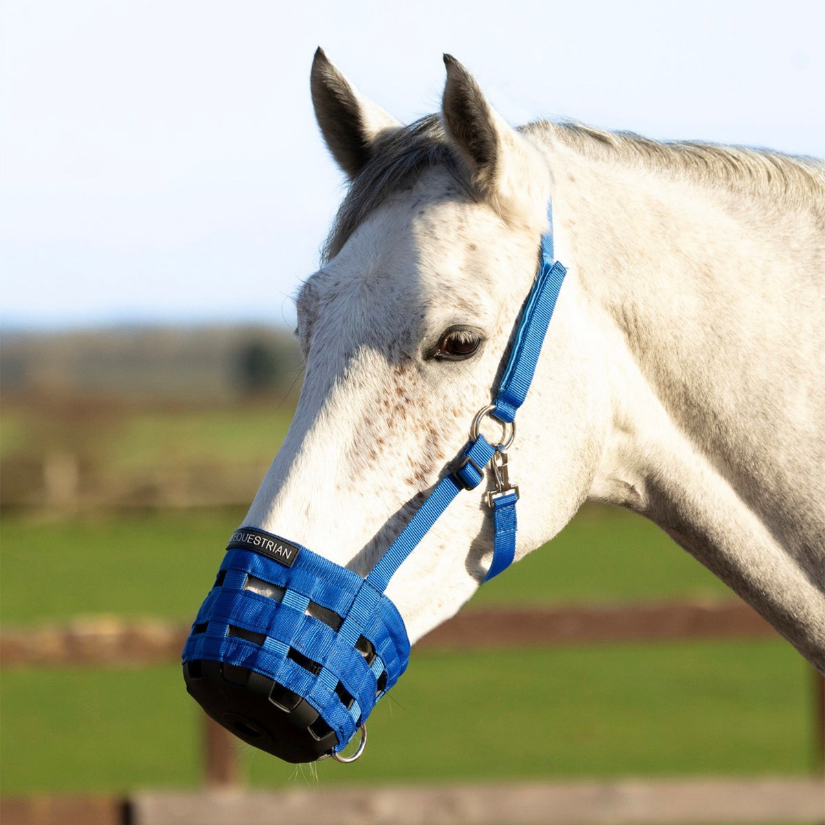 Hy Equestrian Muzzle - Blue