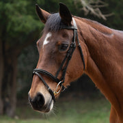 Hy Equestrian Padded Flash Bridle with Rubber Reins - Black
