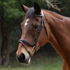Hy Equestrian Padded Flash Bridle with Rubber Reins - Brown