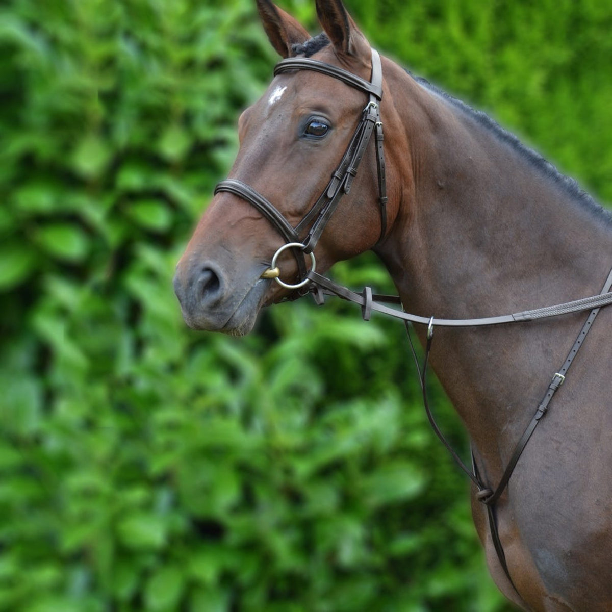 Hy Equestrian Running Martingale - Brown