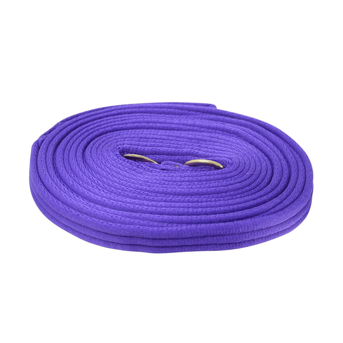 Hy Equestrian Soft Webbing Lunge Rein - 25' - Purple