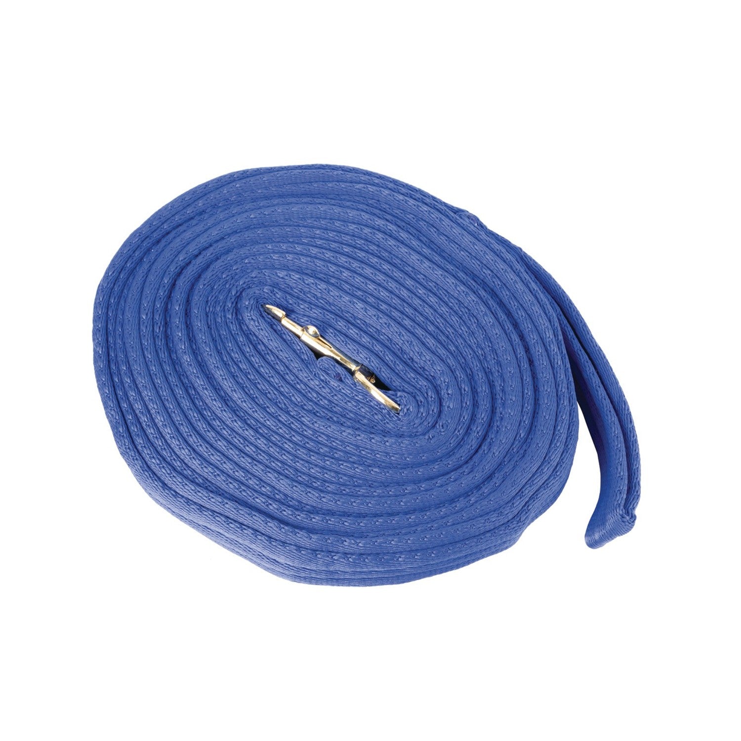 Hy Equestrian Soft Webbing Lunge Rein - 25' - Brilliant Blue