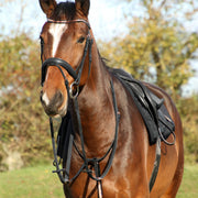 Hy Equestrian Rosciano Martingale - Black