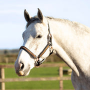 Hy Equestrian Rosciano Headcollar - Black/Rose Gold