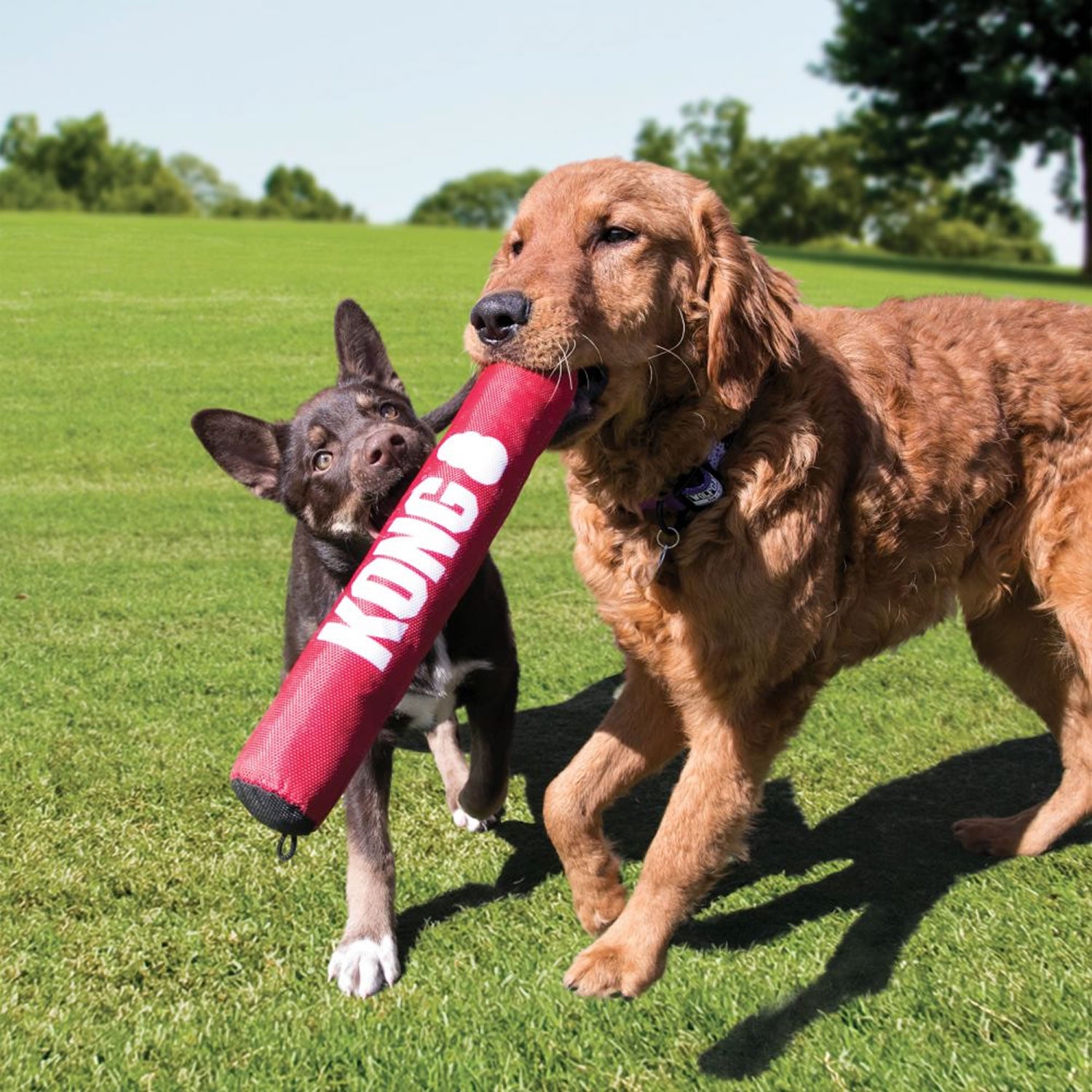 Kong Signature Stick - Medium - Dog Toy
